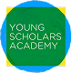 Young Scholars Academy